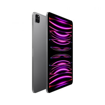 iPad Pro (2022) 11" Wi-Fi + Cellular, 2 ТБ, серый космос