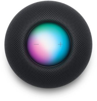 Apple Homepod Mini, серый космос