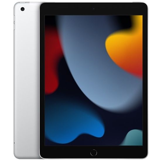 iPad (9 gen)