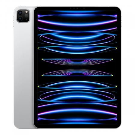 iPad Pro 12.9 (M1)